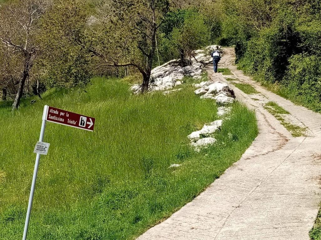 Hiking Escape Parzanica Villa Exterior photo